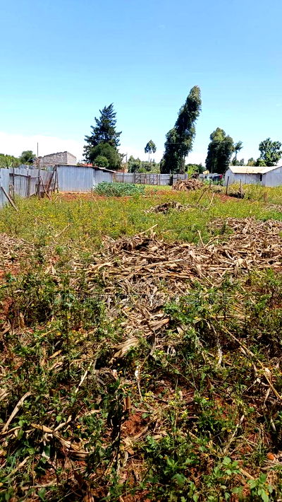 1/4 Plot Kimumu Chebarus With Title - Image 1