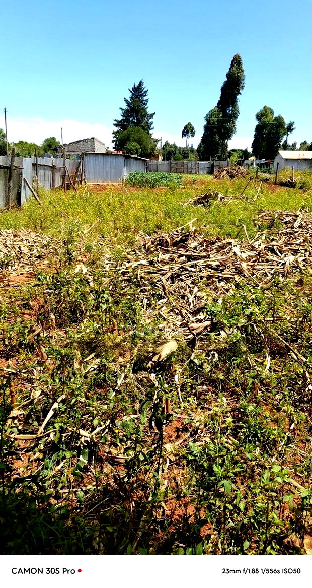 1/4 Plot Kimumu Chebarus With Title