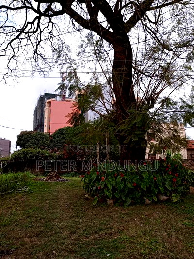 Prime Land 1/2 Acre Touching Ngara Road, Title - Image 4