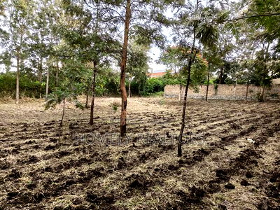 Large Residential Quarter Acre Plot In Ongata Rongai Kandisi - Image 1