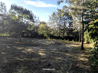 Large Residential Quarter Acre Plot In Ongata Rongai Kandisi - Image 4