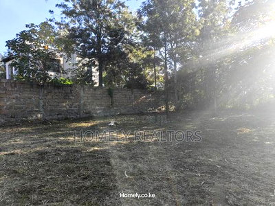 Large Residential Quarter Acre Plot In Ongata Rongai Kandisi - Image 3