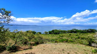 20acres Lake Naivasha Frontage Near Crater Lake Conservany - Image 6