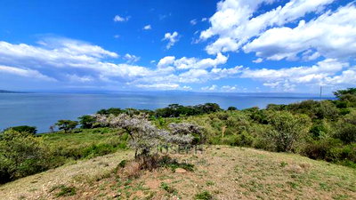 20acres Lake Naivasha Frontage Near Crater Lake Conservany - Image 16