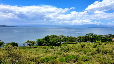 20acres Lake Naivasha Frontage Near Crater Lake Conservany - Image 10