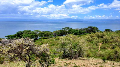 20acres Lake Naivasha Frontage Near Crater Lake Conservany - Image 15