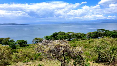20acres Lake Naivasha Frontage Near Crater Lake Conservany - Image 14