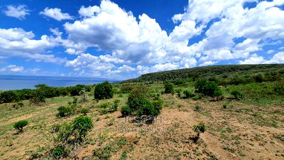 20acres Lake Naivasha Frontage Near Crater Lake Conservany - Image 7