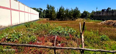 Commercial 1/2 Acre For Sale Pioneer Eldoret City - Image 2