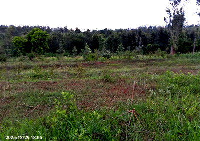 22-Acre Land in Ithanga, Murang'a