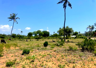 3/4 Acre Plot at KSh 5M