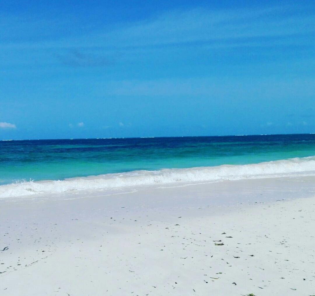 3.5-Acre Beachfront Gem with Garden