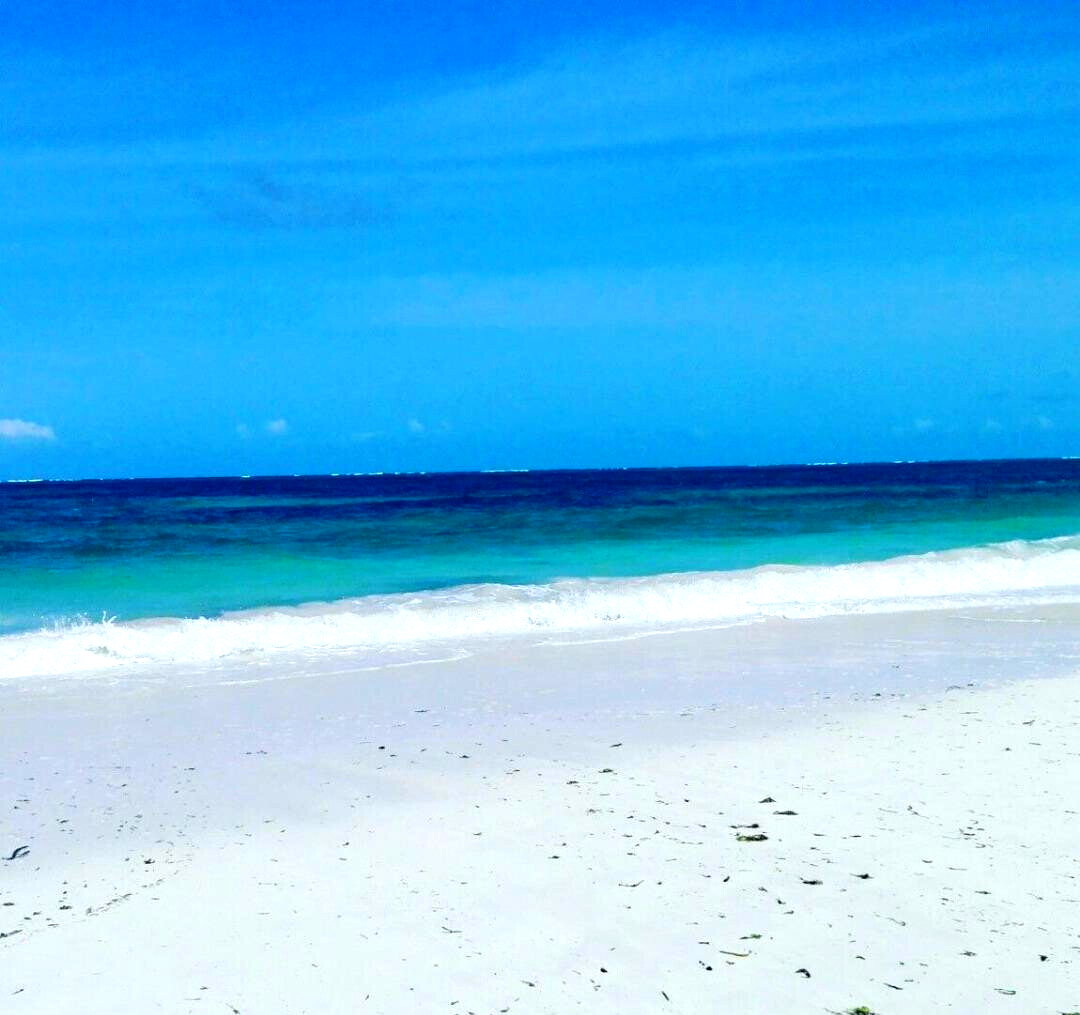 3.5-Acre Beachfront Gem with Garden