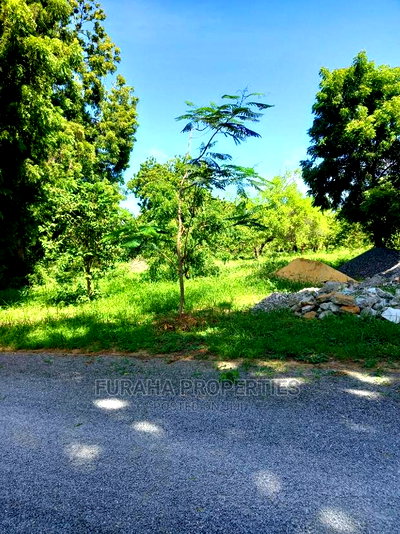 For Sale Quater/Half Acre Plots Mtwapa - Image 1