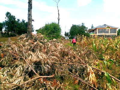 1/4 Acre Plot for Sale at Behind Royal Gardens, Kiamunyi - Image 3