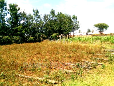 1/4 Acre Plot for Sale at Behind Royal Gardens, Kiamunyi - Image 2