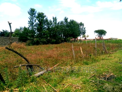 1/4 Acre Plot for Sale at Behind Royal Gardens, Kiamunyi - Image 4