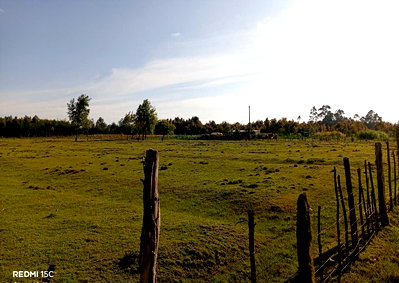 5-Acre Farm with Electricity - North Kinangop