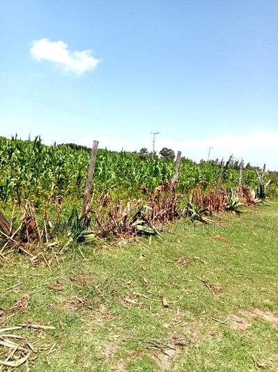 Plot on Sale at Kayole Naivasha - Image 3