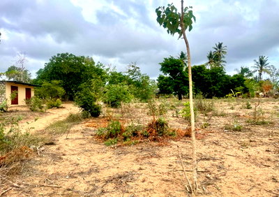 2-Acre Plot in Malindi Kizingo