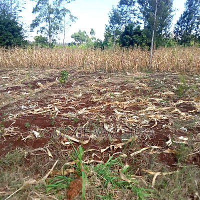 40*80ft Plots for Sale at Kabati Zabka in Muranga - Image 5