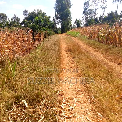 40*80ft Plots for Sale at Kabati Zabka in Muranga - Image 2