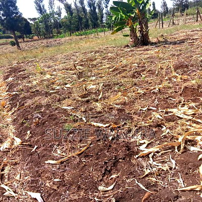 40*80ft Plots for Sale at Kabati Zabka in Muranga - Image 9