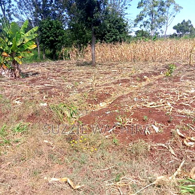 40*80ft Plots for Sale at Kabati Zabka in Muranga - Image 1