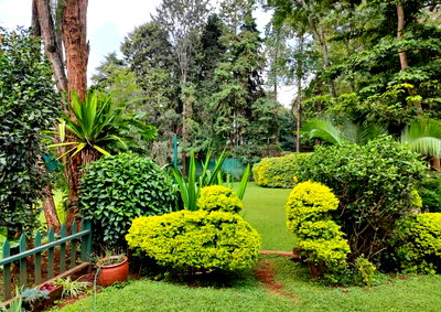 Garden Office Space in Lavington