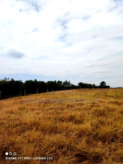 5 to 10 Acres in Kitengela Ostrich Farm - Image 14
