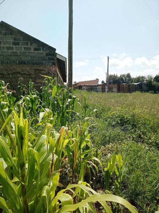 1/8 Plot Kimumu Betterfarm 200 Metres From Tarmac