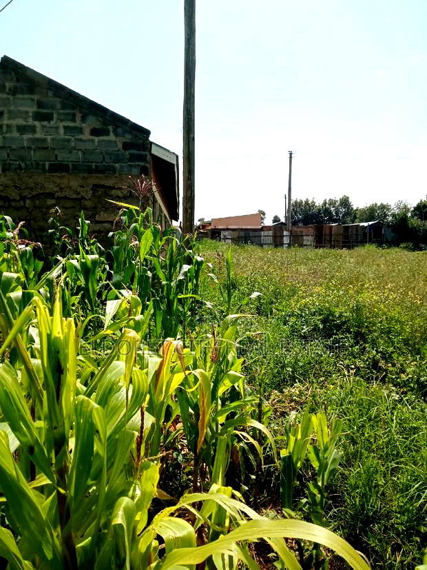 1/8 Plot Kimumu Betterfarm 200 Metres From Tarmac