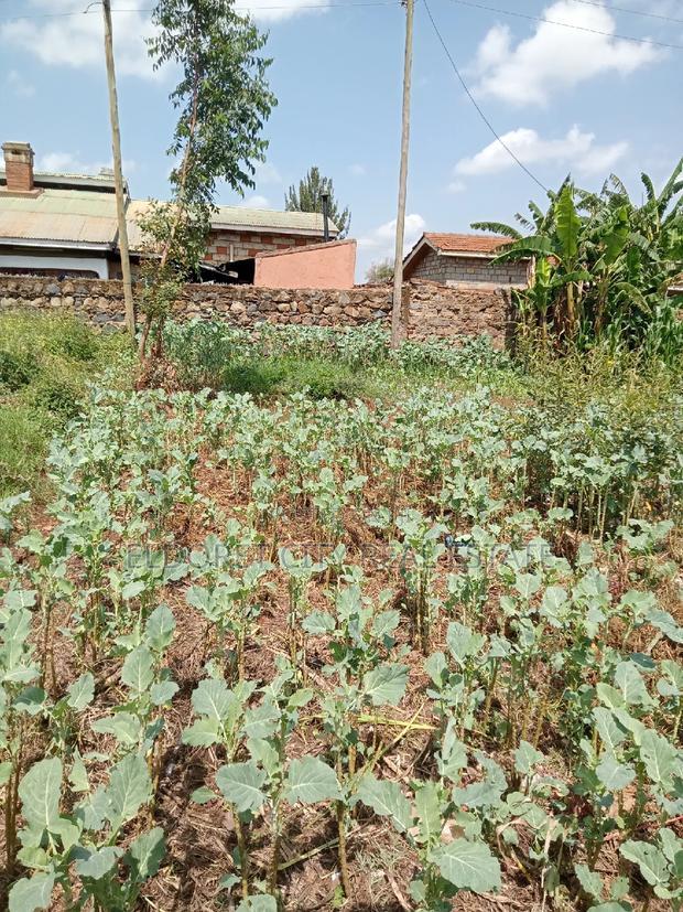 1/8 Plot Kimumu Betterfarm 200 Metres From Tarmac