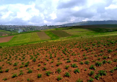 120-Acre Land with Certificate of Lease