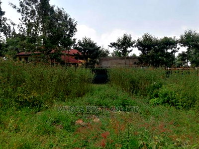 100x100 0.1ha Prime Residential Plot for Sale Kikuyu Ondiri - Image 7