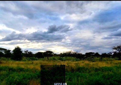 42-Acre Farm in Eselenkei, Kajiado