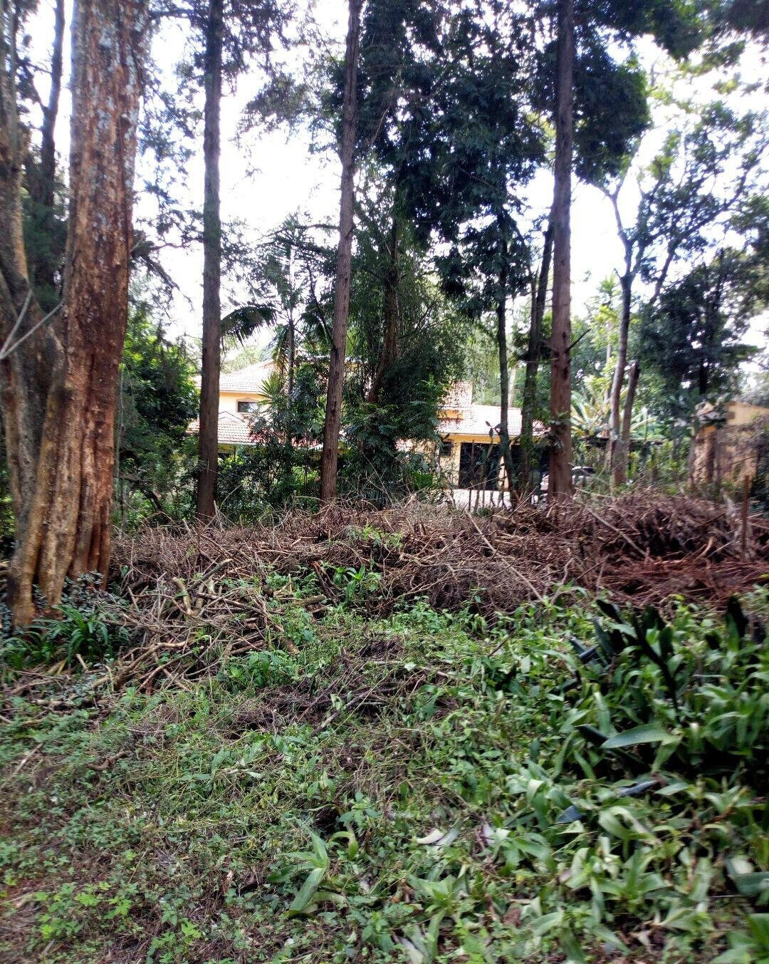 22.1-Acre Garden Land in Dagoretti