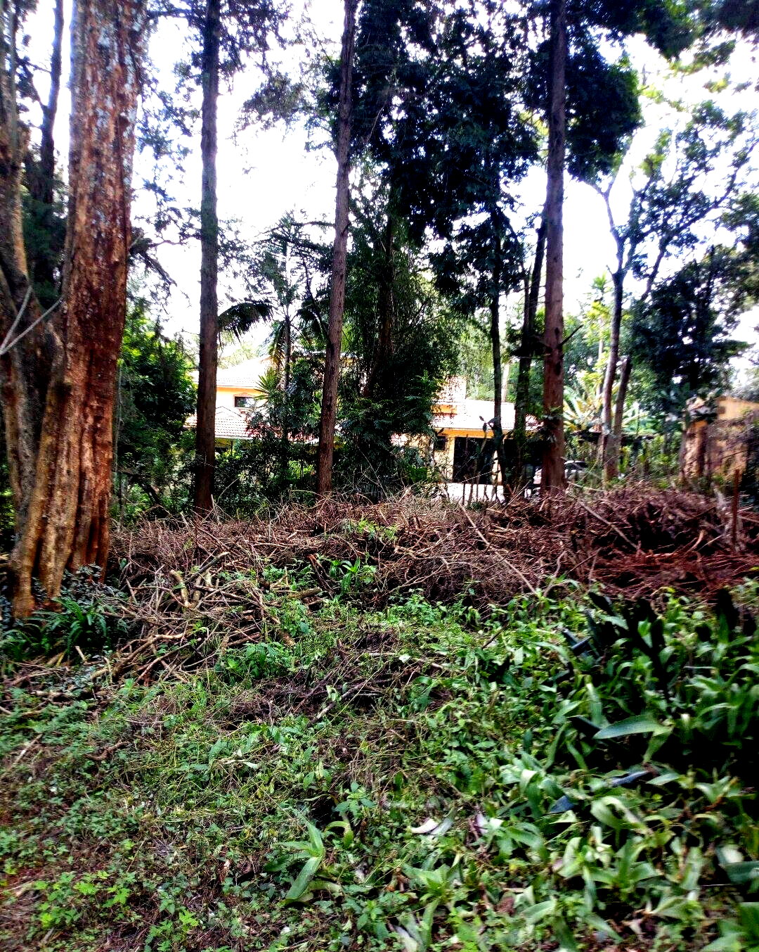 22.1-Acre Garden Land in Dagoretti