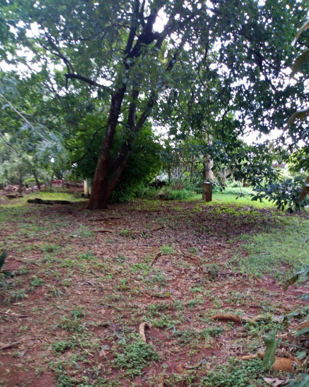 22.1-Acre Garden Land in Dagoretti