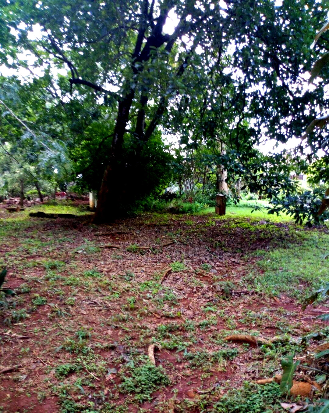 22.1-Acre Garden Land in Dagoretti