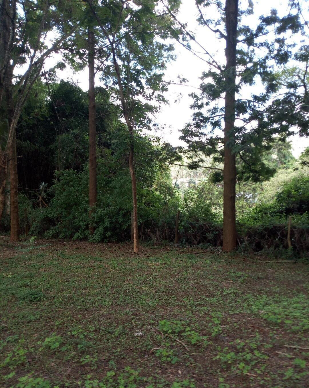 22.1-Acre Garden Land in Dagoretti