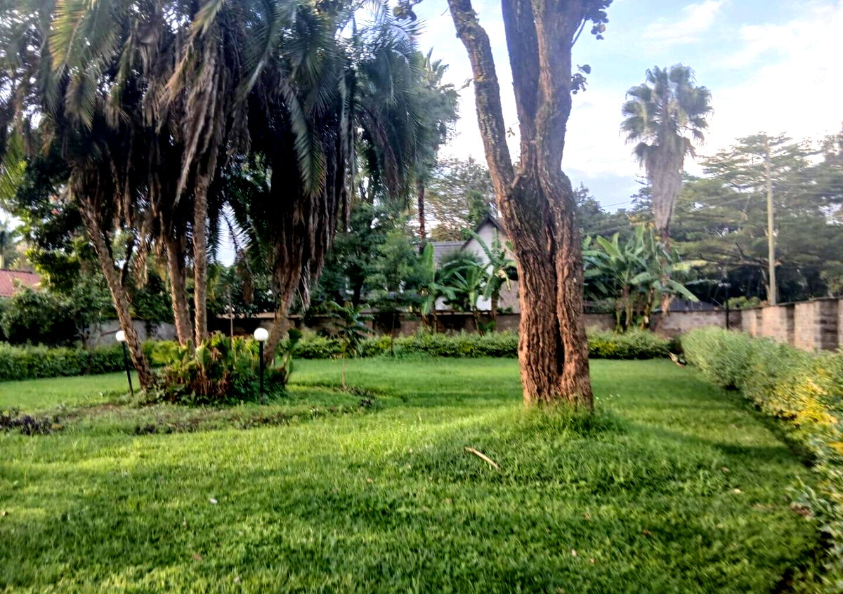 Half Acre 5BR Haven at KSh 300K