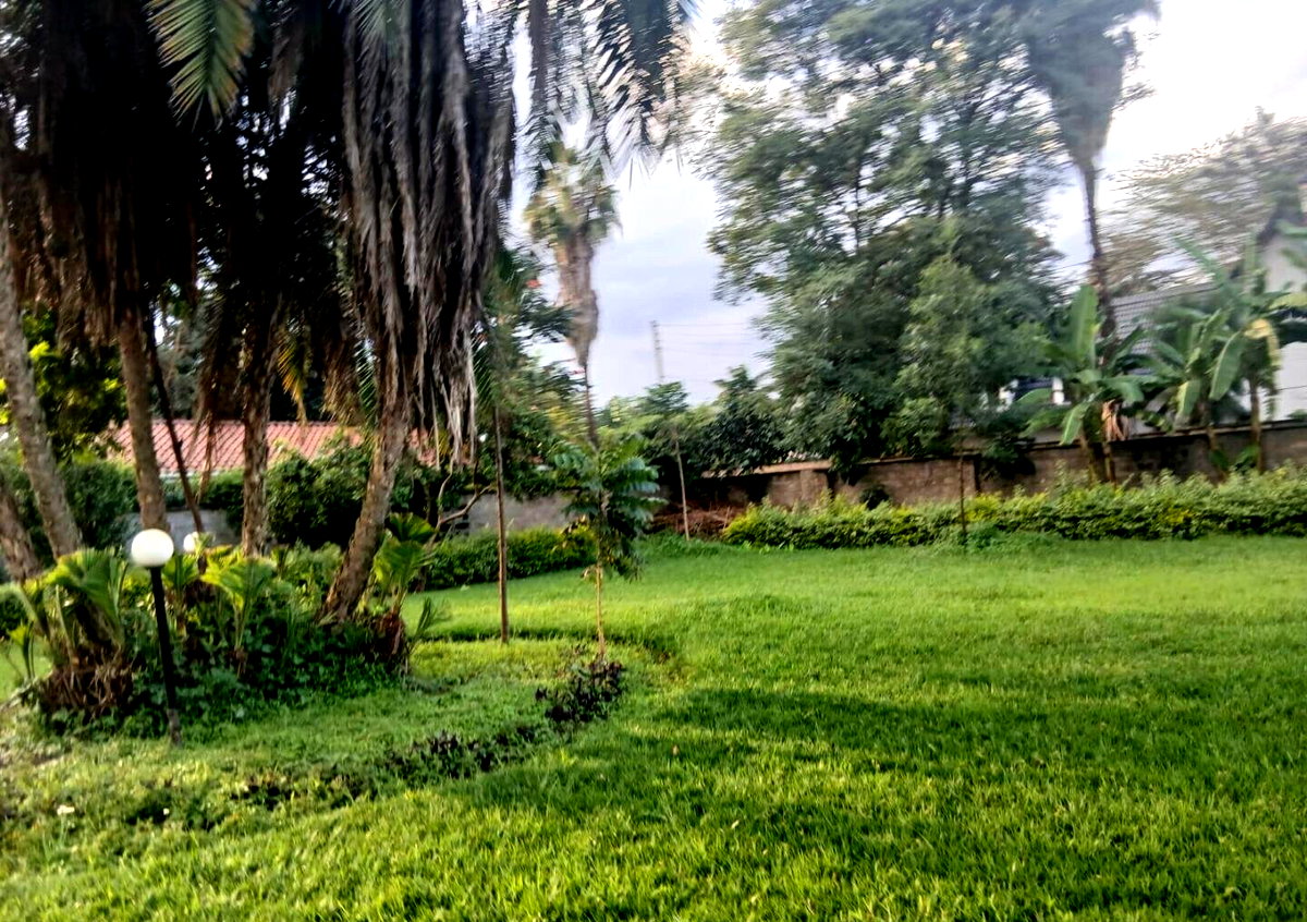 Half Acre 5BR Haven at KSh 300K