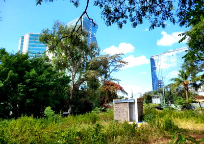 2-Acre Garden Plot for KSh 600M
