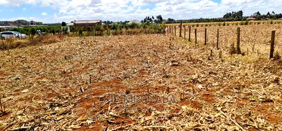 Big 1/4 Plot for Sale in Chepkanga Mwisho Wa Lami Eldoret - Image 3