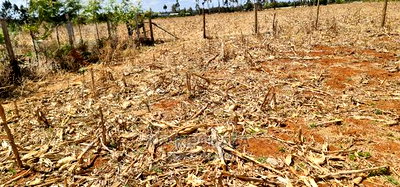 Big 1/4 Plot for Sale in Chepkanga Mwisho Wa Lami Eldoret - Image 6