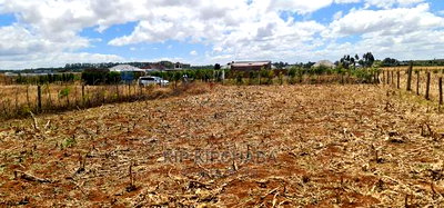 Big 1/4 Plot for Sale in Chepkanga Mwisho Wa Lami Eldoret - Image 2