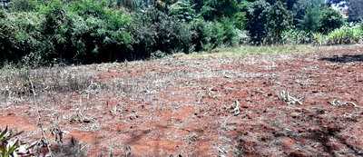 Garden Plot at KSh 100M