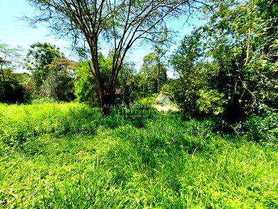 Old Runda Estate 1/2 Acre Plot on Distress Sale - Image 5
