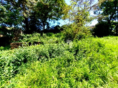 Old Runda Estate 1/2 Acre Plot on Distress Sale - Image 1